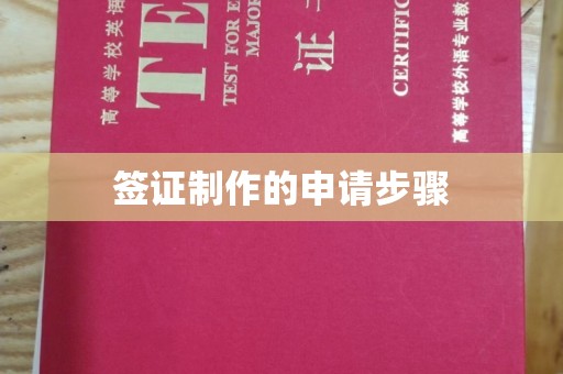 城步签证制作的申请步骤