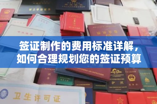 越西签证制作的费用标准详解，如何合理规划您的签证预算